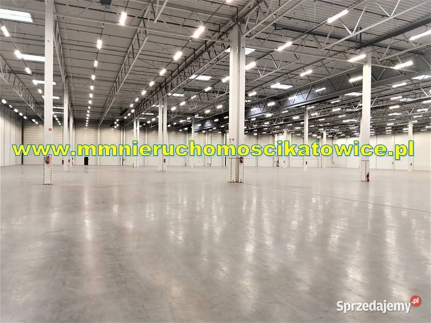 Powierzchnie magazynowe 200 10000 m2 o wynajęcia winda Sosnowiec sprzedam
