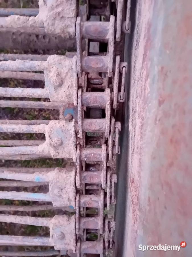 Kopaczka elewatorowa taśma metalowa lubelskie Ryki