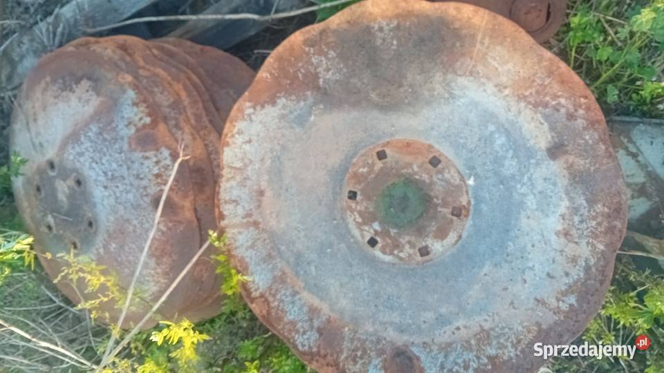 Talerze do talerzówki Unia Grudziądz do Aresa 6 Żmudź