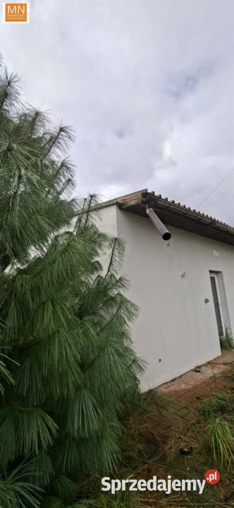 sprzedaży gruntu 243m2 Miechów Kopernika