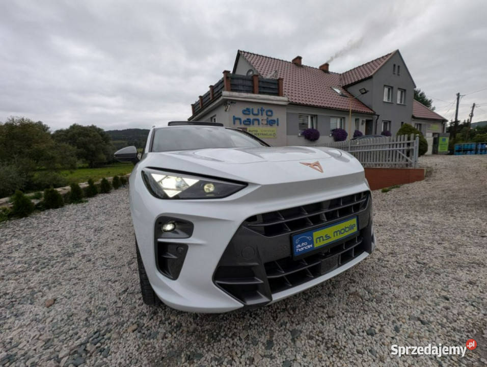 Cupra Terramar VZ 265 4x4 PanoramaNagłośnienie nieuszkodzony Kamienna Góra