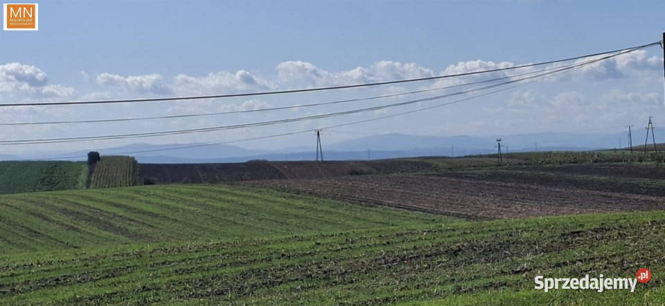 Grunt 12142m2 Koszyce małopolskie