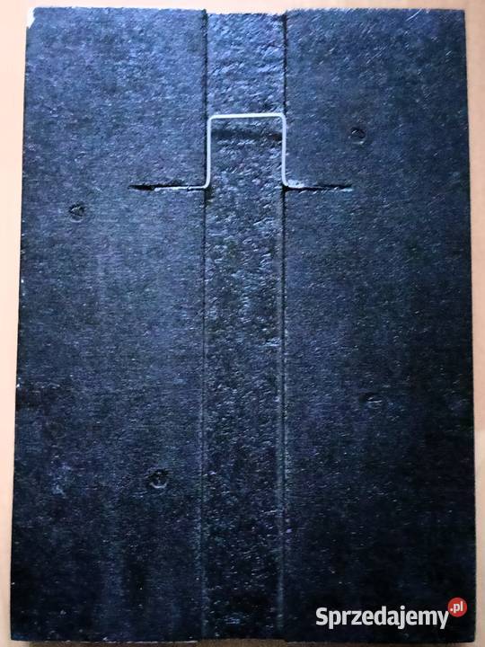 Dekoracja model przekrój głowy podkarpackie Tarnobrzeg