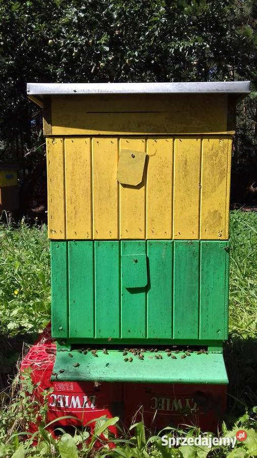 SPRZEDAM ULE WIELKOPOLSKIE Ślesin