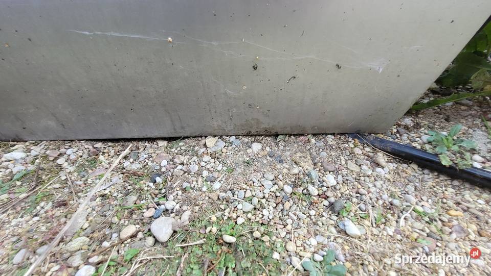 Drzwi Alfa Romeo 166 osobowe Łagów