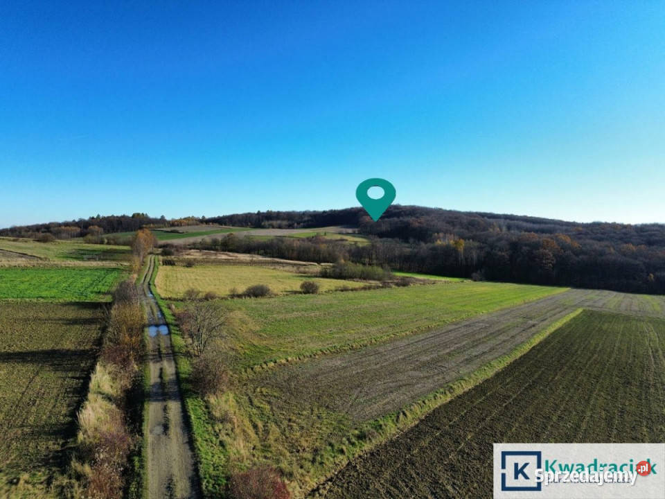 Ogłoszenie grunt Podniebyle 6100m2