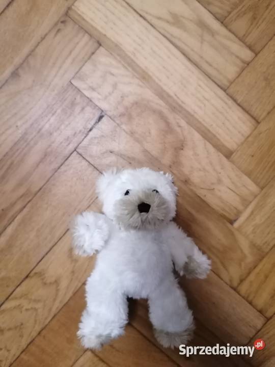 Miś biały milutki Maskotki Gdańsk