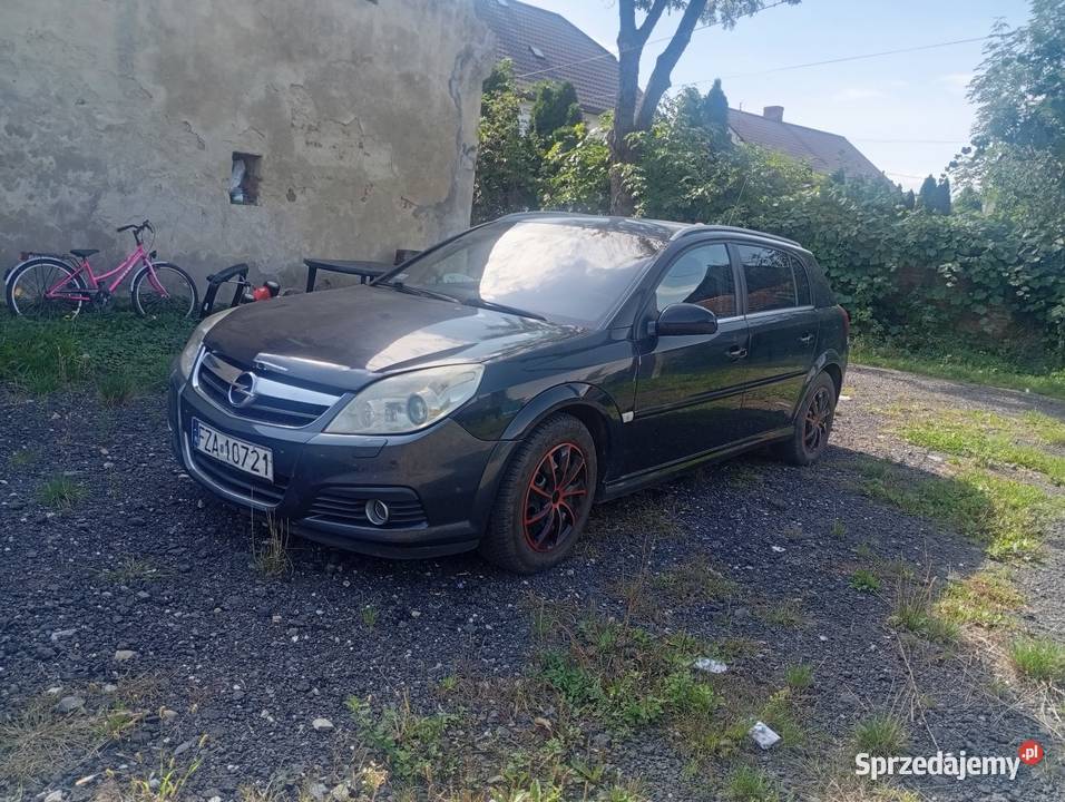 Opel Signum 19 CDTI 150 Nysa