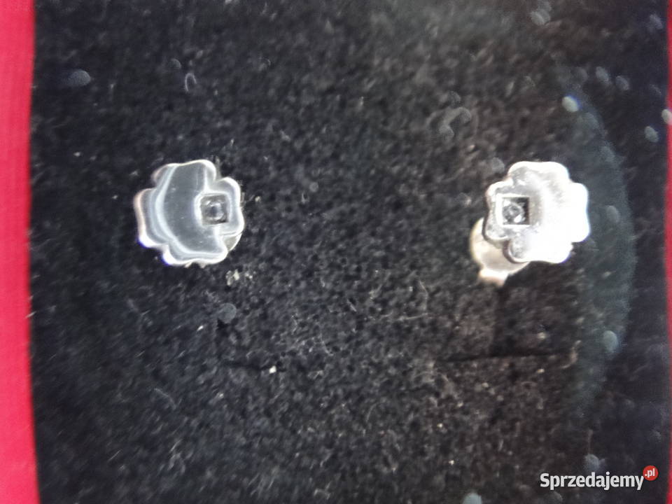 Kolczyki koniczynki 4listne srebro 925 Warszawa