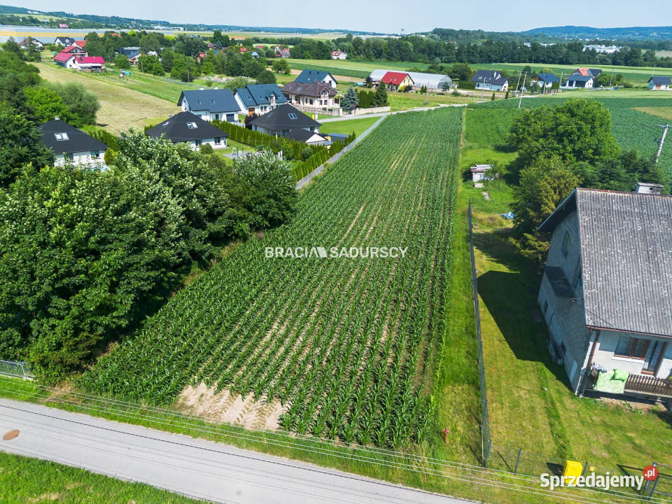 Grunt 3400m2 Morawica woda Sprzedaż