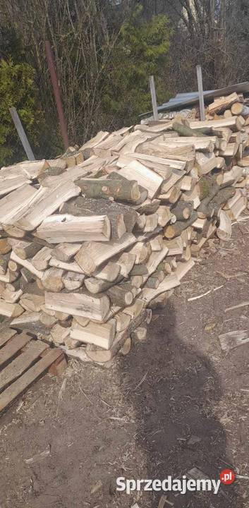 drzewo opałowe Sosnatopoladąbbrzoza z Gidle