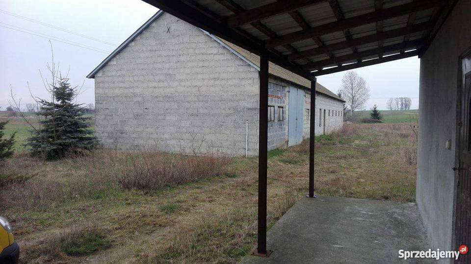 sprzedam dom wolnostojący Domy kujawsko-pomorskie Piotrków Kujawski