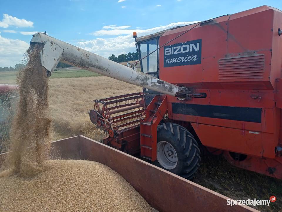 BIZON AMERICA z056 WEKSPORTOWA