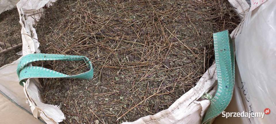 Oregano Pozostałe Rakołupy