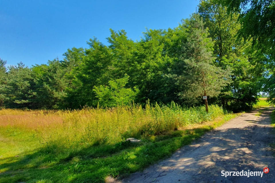 Zamieszkaj w leśnej ciszy działka budowlana z Stefanów sprzedam