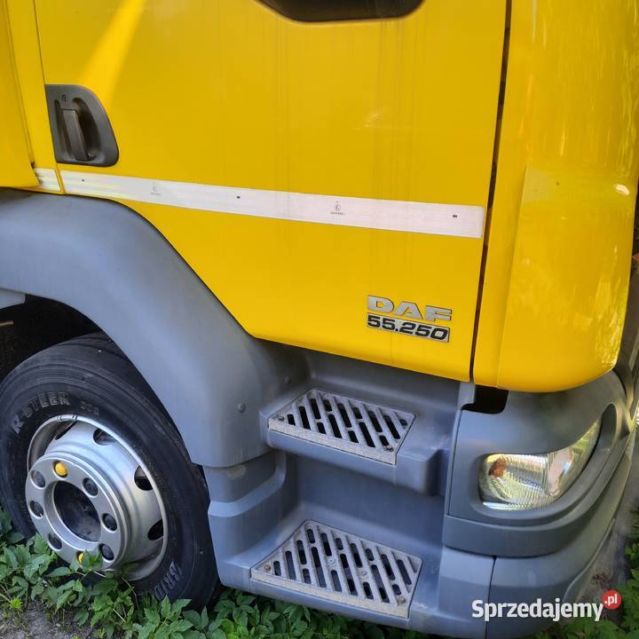 DAF LF55250 Kontener z windą 18 palet gotowy do pełny VAT Raszyn