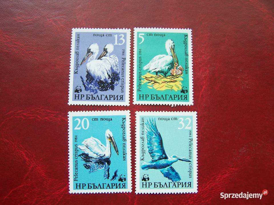 Bułgaria 1984 MNH Fauna Ptaki Pelikany Tychy