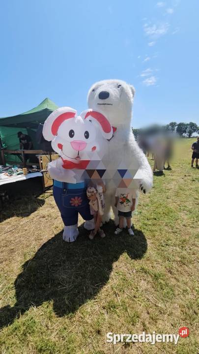 Biały miś i królik Pozostałe usługi