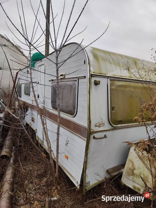 Przyczepa kempingowa Kempingowe Dwikozy