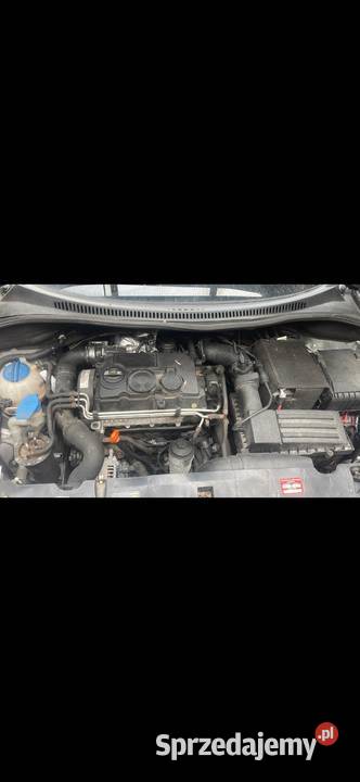 Piękny Seat Altea XL 19 Tdiklimaalumyhak Siedlce