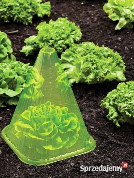 Top Flora Pokrowce roślinne do sałaty plastikowe Chrzanów