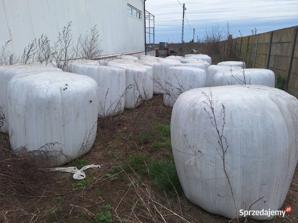 Baloty siano kiszonka Trawy, słoma