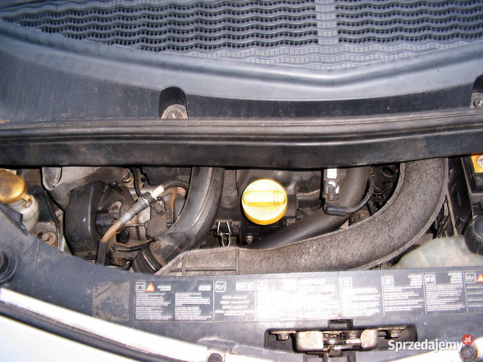 Renault Modus 15 DCI 68 2005 r 68KM Modus wielkopolskie Września