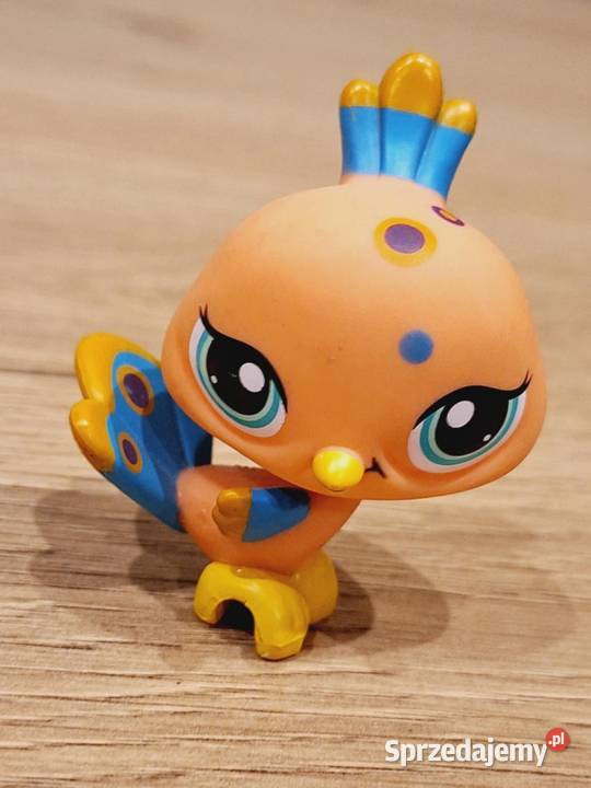 Paw ptak Littlest Pet Shop Braniewo