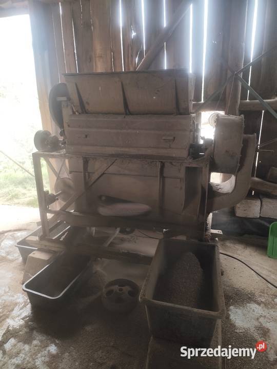 Bukownik Łopiennik Górny