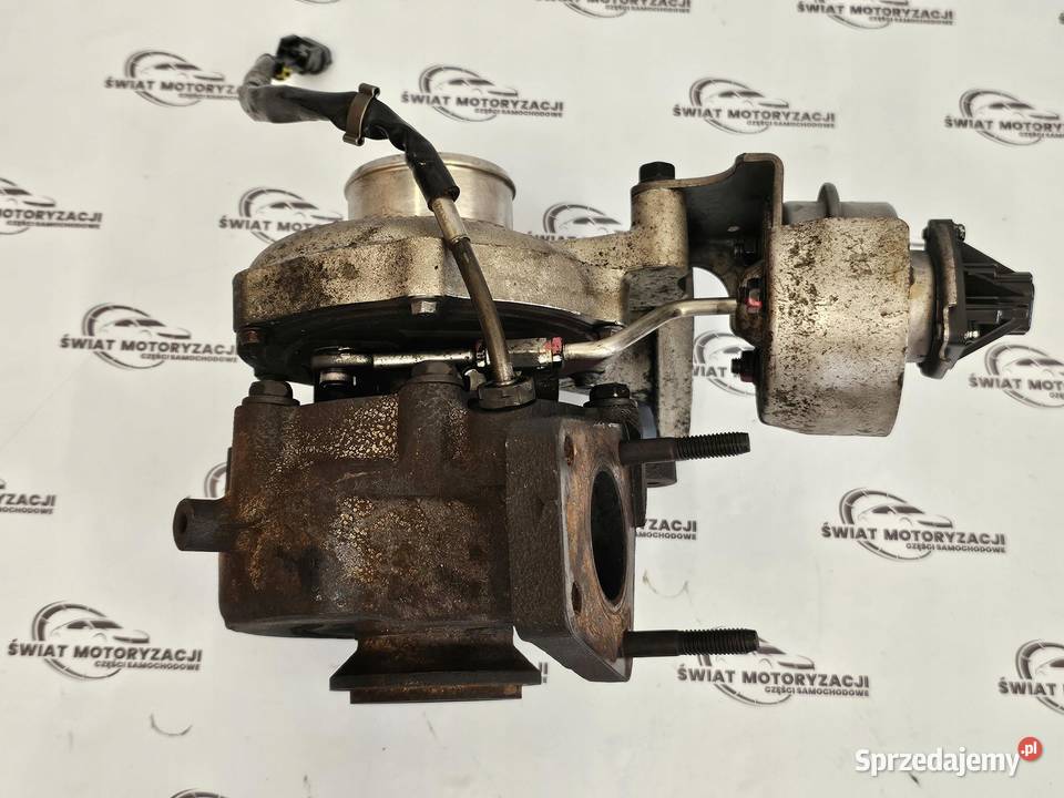 ORLANDO CRUZE 20 VCDI Z20D1 14r 163 świętokrzyskie