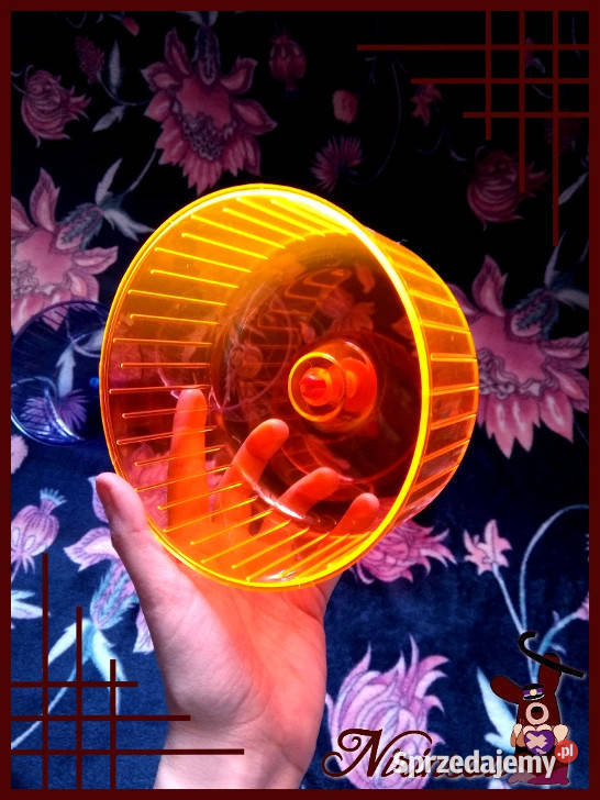 Nowy kołowrotek chomika karłowatego 14 pomarańcz Ruda Śląska