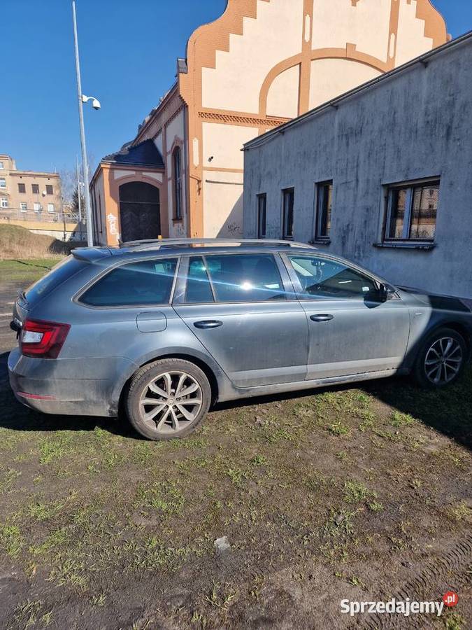 Skoda Octavia 20 TDI DSG Drive 4x4 150 2017 grafitowy Rydzyna
