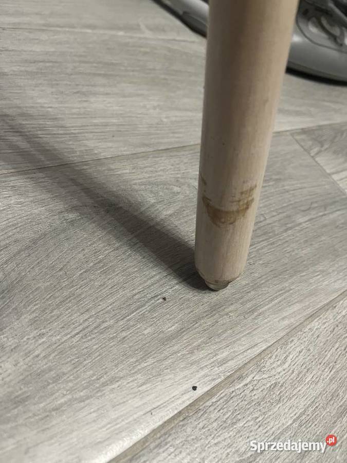 Fotelik do karmienia Żory sprzedam