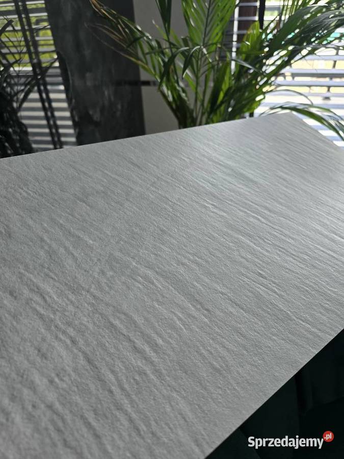 PŁYTKA gres G302 WHITE NERTHUS 29X593 GAT I