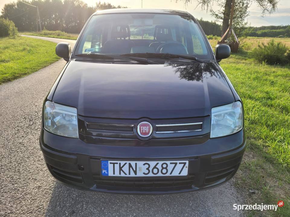 Fiat Panda 2011 13 Multijet Sprawna Ekonomiczna Fiat Grębosze