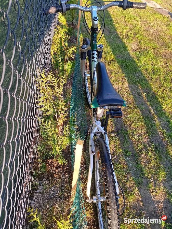 Rower Dikotti X3000F Milówka