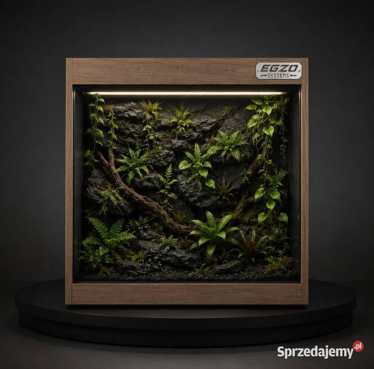 Terrarium tropikalne gekona orzęsionego boa Zabrze
