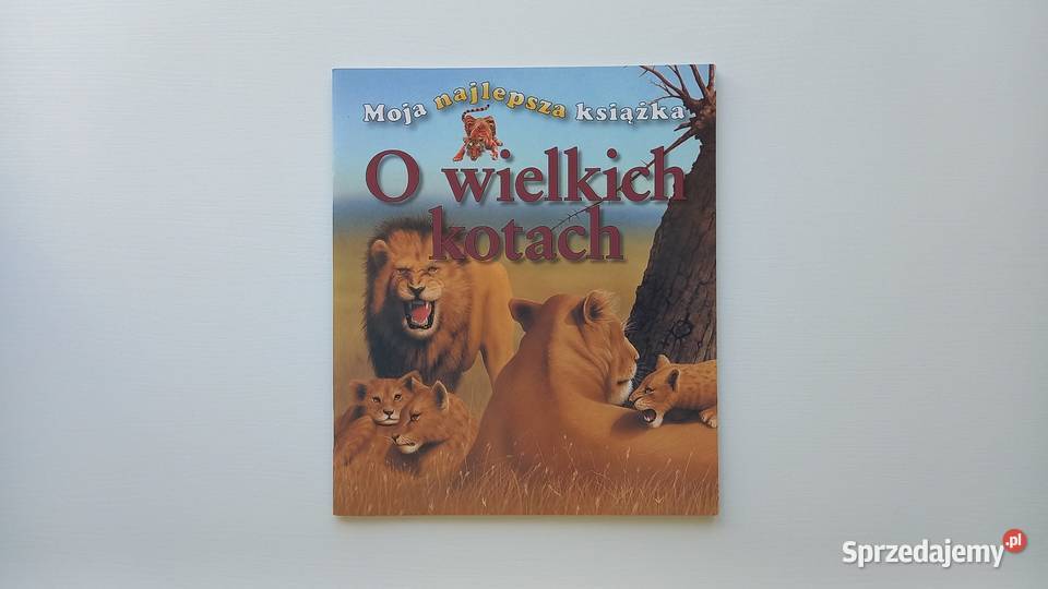 Edukacja Przyroda O wielkich kotach seria Moja Książki dla dzieci Kraków sprzedam
