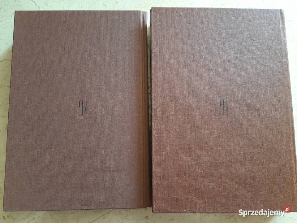 Podręczny słownik polsko angielski Wiedza śląskie Bielsko-Biała sprzedam