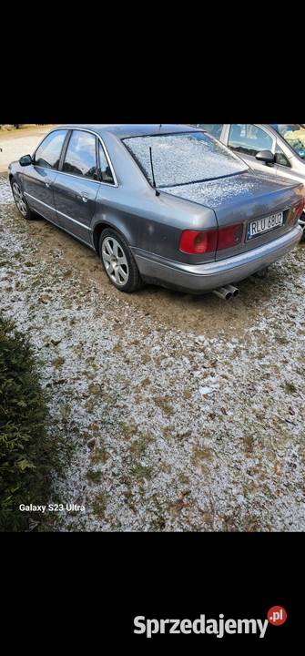 Audi A8 D2 28V6 Quattro Audi Medynia Głogowska