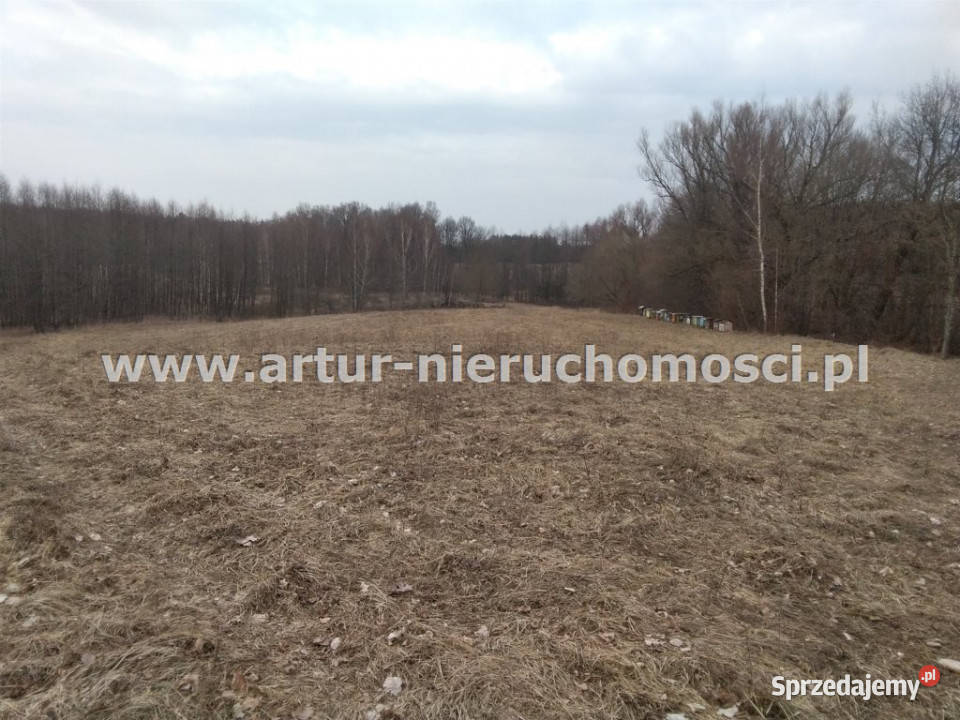 Grunt 1930m2 Martiany