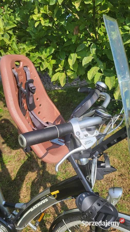 Thule Yepp mini przedni fotelik rowerowy dziecko Gogolin