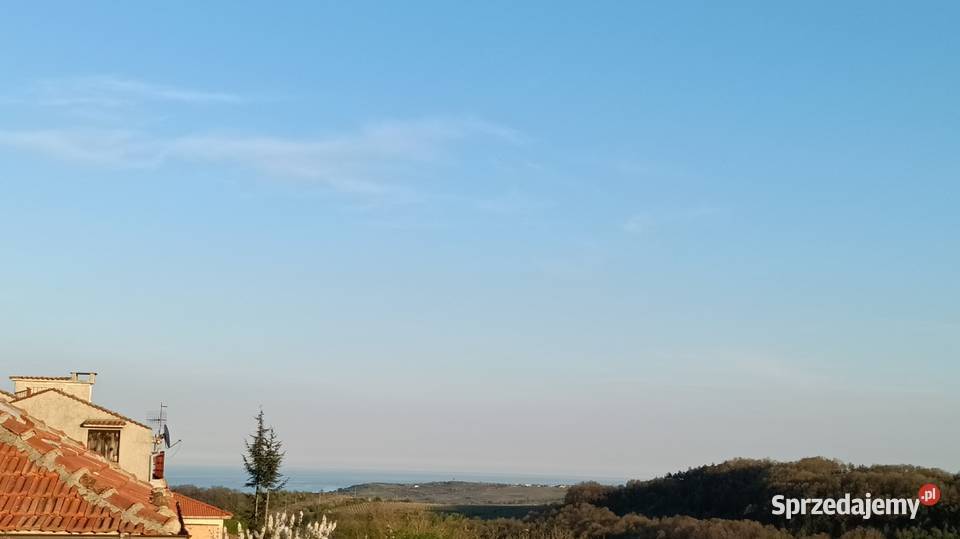 Dom M Czarnym Goritsa Brodnica