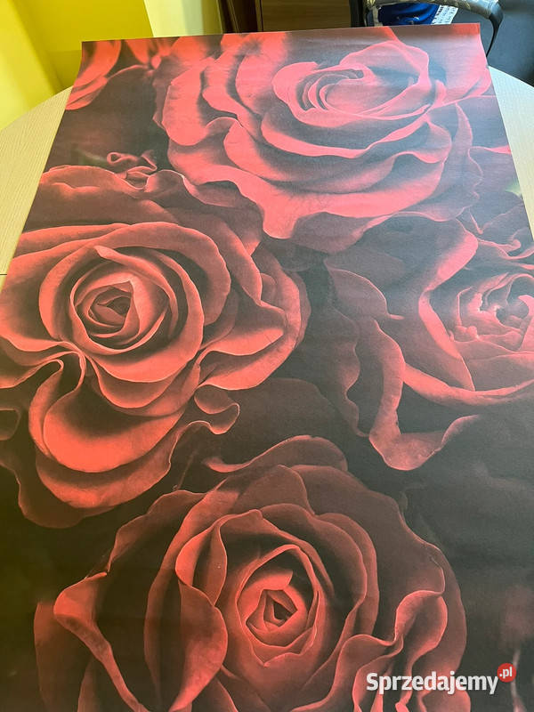 Fototapeta flizelinowe czerwone róże prezent Bielsko-Biała