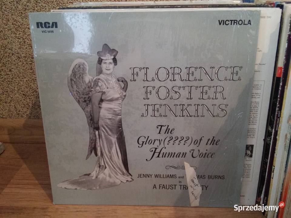 Płyty winylowe w transzach 10 na prezent mega Włocławek