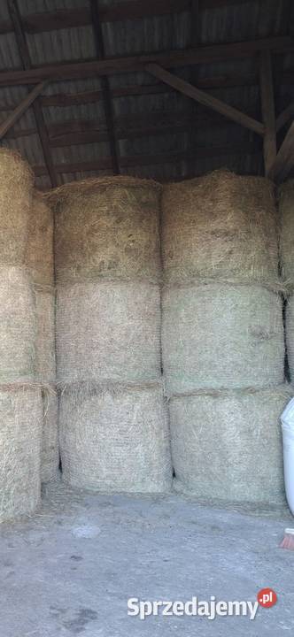 siano sianokiszonka Ciechanów sprzedam