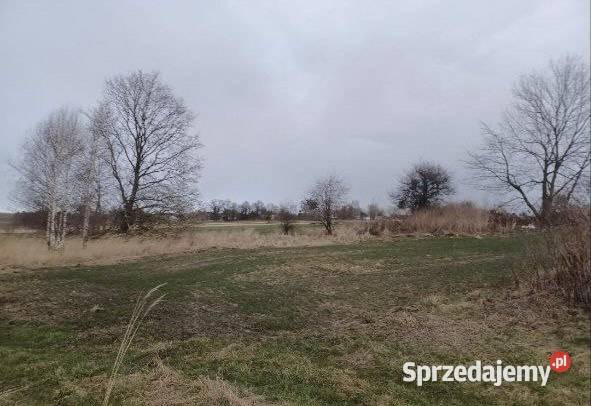 Działka z możliwością zabudowy rolna opolskie Goła