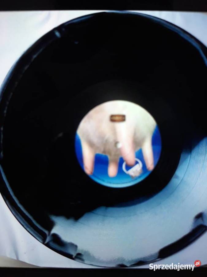 Niezapomniane koncerty GOTTHARD Live in Zurich 2 rock Rzeszów