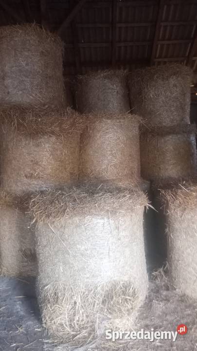 Siano słoma Trawy, słoma Sokoły