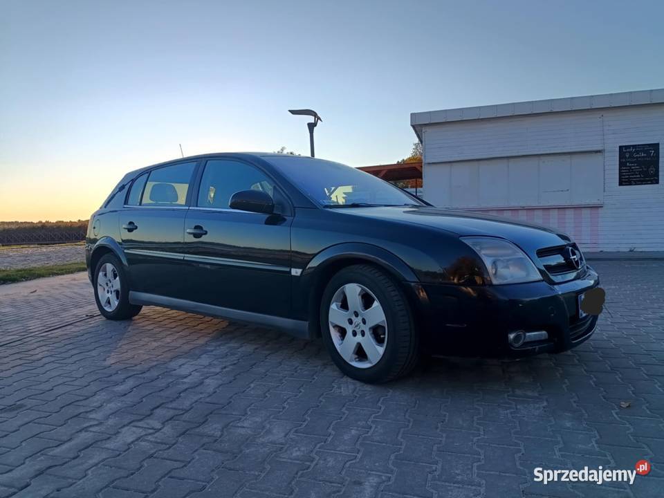 Opel Signum 22 dti Włodawa